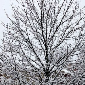 Meet your Posher, Dada